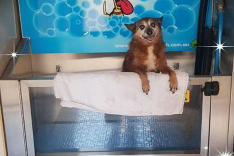 Apex RiverBeach Holiday Park - Tourism Hervey Bay 4