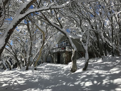 Amber Lodge Mt Buller - Hostel - Hervey Bay Accommodation 2