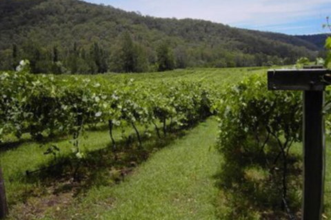 Cedar Creek Cottages - Tourism Hervey Bay 2