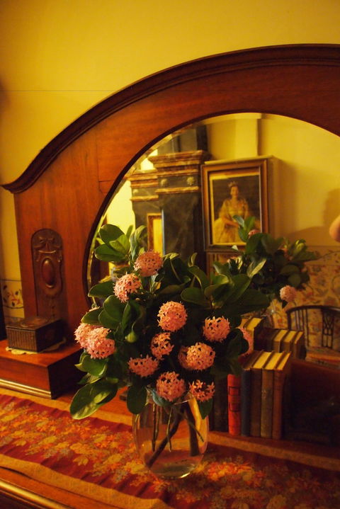 Vacy Hall Toowoomba's Grand Boutique Hotel - Hervey Bay Accommodation 6