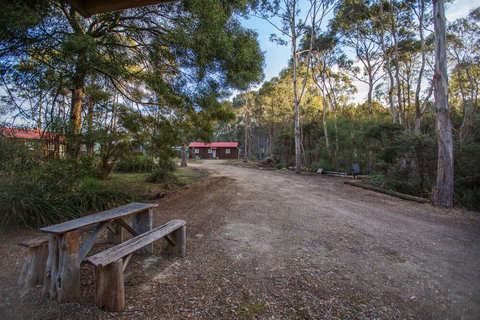 Rosedale Cottages - Hervey Bay Accommodation 4