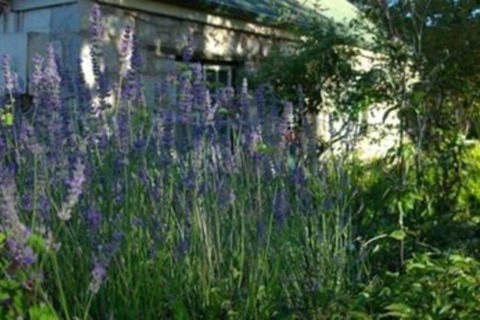 Colonial Cottages Of Ross - Tourism Hervey Bay 5