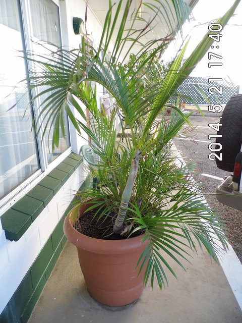 Central Point Motel - Hervey Bay Accommodation 1