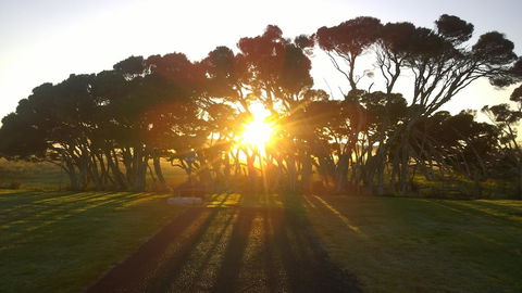 Low Head Tourist Park - Caravan Park - Tourism Hervey Bay 1