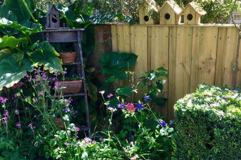 Aggies Bed & Breakfast - Tourism Hervey Bay 7