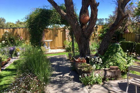 Aggies Bed & Breakfast - Tourism Hervey Bay 5