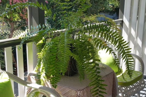 Elindale House Bed & Breakfast - Tourism Hervey Bay 4