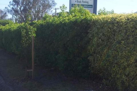 Glenndale Park Motel - Hervey Bay Accommodation 4