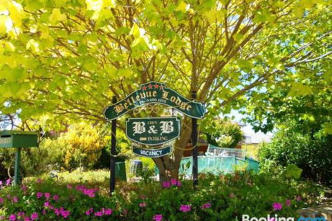 Eden Bed & Breakfast - Hervey Bay Accommodation 0