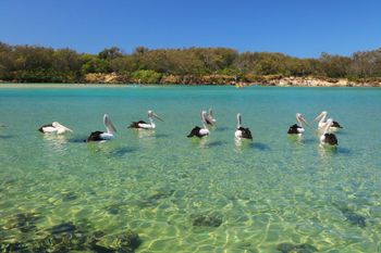 Pacific Royale Penthouse 311 - Hervey Bay Accommodation 4