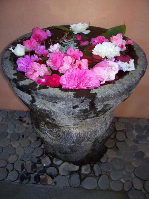 Riveresque - Tourism Hervey Bay 2