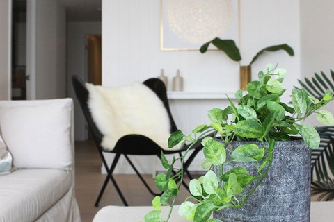 Modern Apartment In Brisbane - Hervey Bay Accommodation 5