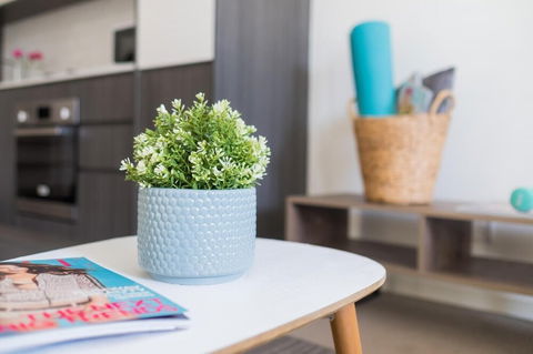 Willis Wolli Crk 73 - Tourism Hervey Bay 1