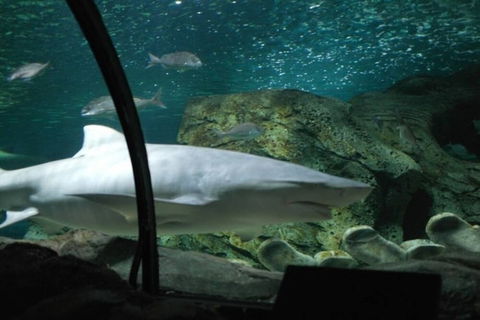 A19 Darling Harbour 2 BDR APT - Tourism Hervey Bay 4