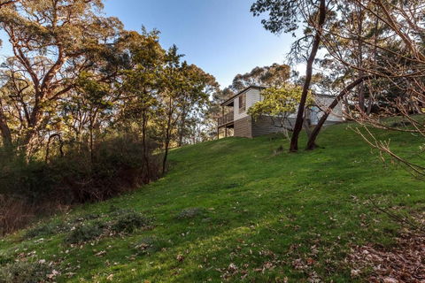 Forest Ave Cottages - Hervey Bay Accommodation 3