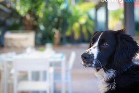 Bay Dream Believer 16 Verona Road Pet Friendly Boat Parking & WIFI - Hervey Bay Accommodation 4