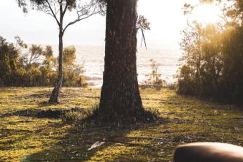 Seagrass On Sunset Bay - Hervey Bay Accommodation 1