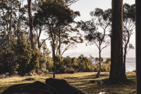 Seagrass On Sunset Bay - Hervey Bay Accommodation 2