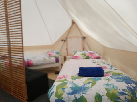 Glamping At Zeehan Bush Camp - Hervey Bay Accommodation 6