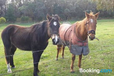 Heritage Bed & Breakfast - Hervey Bay Accommodation 3