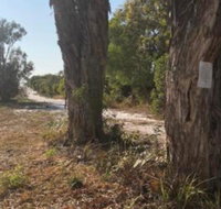 COONARR BEACH  BUNDABERG CAMPING - Hervey Bay Accommodation