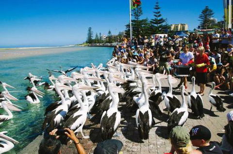 Beach & Ocean Front Penthouse With Wifi & Parking - Hervey Bay Accommodation 2