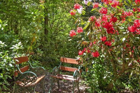 Jalscene - Hervey Bay Accommodation 5