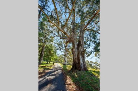 WOOLWAY - Tourism Hervey Bay 2