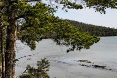 Rockpool Cottage - Tourism Hervey Bay 4