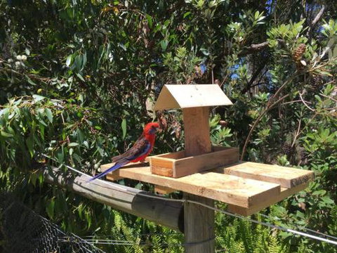 Rosella Cottage Waratah Bay - Hervey Bay Accommodation 1