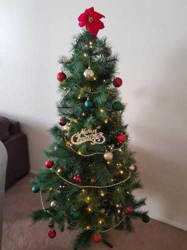 Sunshine Beach Retreat 3 Bedroom Family Apartment Wifi Netflix 2 Cars - Tourism Hervey Bay 3