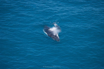 Apartments Located At Blue Seas Resort - Hervey Bay Accommodation 3