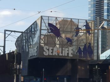 North Melbourne Lifestyle Stays - Tourism Hervey Bay 1