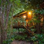 Wildwood - Hervey Bay Accommodation 0
