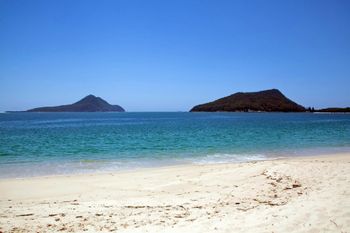 Radburn Unit 2 17 Ondine Close - Tourism Hervey Bay 4