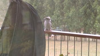 Deloraine Comfort - Hervey Bay Accommodation 2