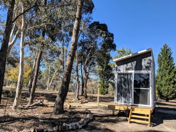 Big Tiny The Whispers - Hervey Bay Accommodation 2