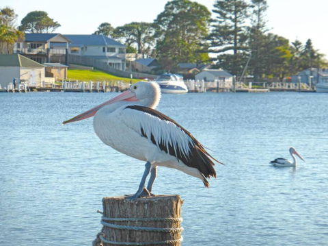 HAIS18G Riverside Delight - Hervey Bay Accommodation 4