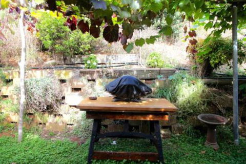 Bushy Park Retreat - Tourism Hervey Bay 6