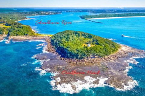 Dolphins Delight At Culburra Beach - Tourism Hervey Bay 4