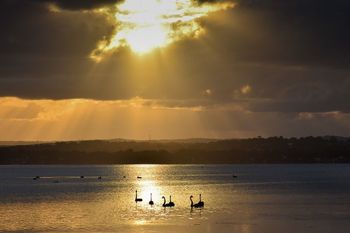 Diamond Lake House - Hervey Bay Accommodation 4