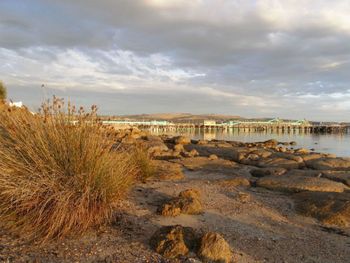 Port Lincoln Holiday Houses - Hervey Bay Accommodation 4