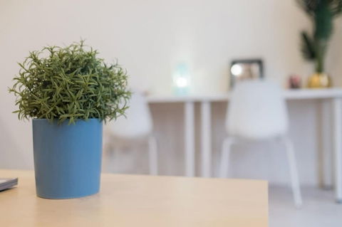 Willis Wolli Crk 35 - Tourism Hervey Bay 3