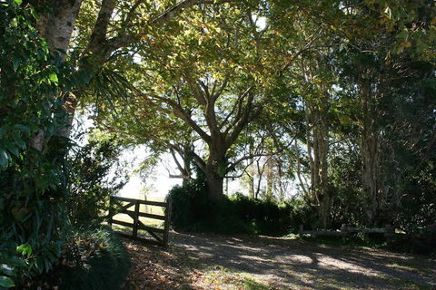 Maleny Mountain Retreat - Hervey Bay Accommodation 0