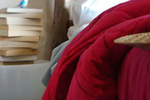 Acquus Zinga - Tourism Hervey Bay 5