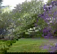 Petersons Armidale Winery  Guesthouse - Hervey Bay Accommodation