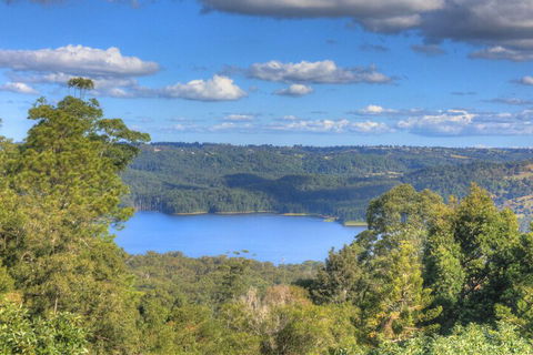 Montville Misty View Cottages - Tourism Hervey Bay 1