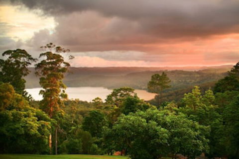 Montville Misty View Cottages - Tourism Hervey Bay 0