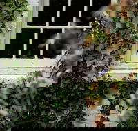 Fitzpatrick's Inn - Tourism Hervey Bay