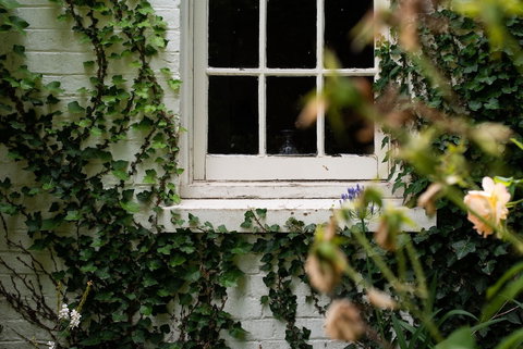 Fitzpatrick's Inn - Hervey Bay Accommodation 0